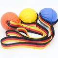 Pet Interactive Outdoor Fitness Training Toys EVA Dog Chew Ball Toys Pet Summer Floating Toy