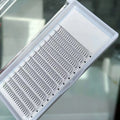 Flourishing Lashes Handmade Premade 10D Volume Fans 3D-6D Eyelashes Soft Korean PBT Material D for 17mm Length 12 Rows Boxed