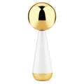 Hot Sales Unbreakable Stainless Steel Face Roller 2 Pack Ice Globes for Face Cryo Globes for Face Neck & Eyes Skin Care Tools