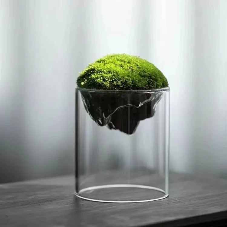 Home Decoration Terrarium Mini Glass Vase Tall Crystal Tabletop Wedding Vase Hydroponic Planter Flower Pot Elegant Hydroponic