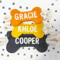 Felt New Dog Toy Pet Puppy Teething Toys Chew Bone Custom Pet Rope Toys for Dogs