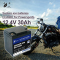 YTX30L-BS 12V 30Ah Sodium-ion Battery for Motorcycle Harley-Davison Replacing BCI 30L Fit ATV Snowmobile UTV