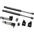 100LB Car Gas Strut Automotive Gas Spring Lift Support for Trunk Hood Tailgate