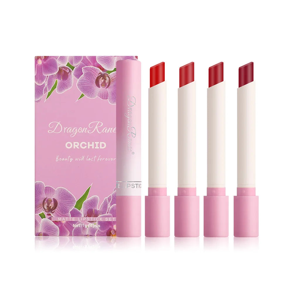 Dragon Ranee  4pcs Nude Matte Lipstick Pen Lipstick Pen Suit Lip Glaze Durable Waterproof No Blooming