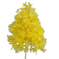 Pure Natural Handmade Eternal 50cm Hydrangea Preserved Flower for Hotel Decor-Thanksgiving & Christmas