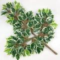 Silk Floral DIY Wedding Bouquet Artificial Ficus Leaves & Faux Benjamina Tree Greenery Additions for Birthdays