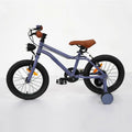 Single Speed 20-Inch Mountain Bike for Kids Age 8-12 for Cycling and Quad Riding Perfect Bike Cycle for Boys