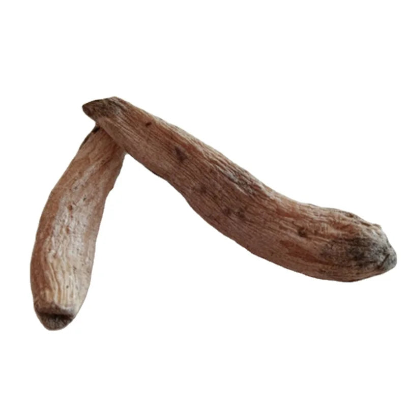 Rare Herb Natural Bake Dried Musa Basjoo Root Japanese Banana Rhizome for Sale
