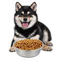 Single Stainless Steel Basic Cat Pet Dog Food Water Feeding Bowl Double Walled Vacuum Insulated Rubber Base Anti-Slip Rounded