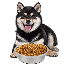 Single Stainless Steel Basic Cat Pet Dog Food Water Feeding Bowl Double Walled Vacuum Insulated Rubber Base Anti-Slip Rounded