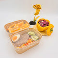 Eco-friendly Biodegradable Disposable Rigid Rectangle Kraft Paper Food Container with Embossing for Sushi and Food Packaging