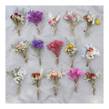 Decor Dried Flower DIY Mini Dried Flower Bouquet for Decor Natural Dried Bouquet for Gift