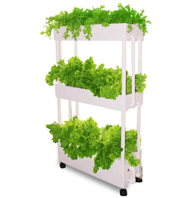 Hydroponic Growing Systems Home Vertical Garden Tower Carton Packing Customized White Provided GN 19 Irrigation System for Farms