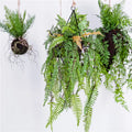 Wholesale Fashionable Decorative Leaves Hanging Plate Wedding Decoration Plastic Plant 72 Pieces/Pack