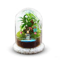 16CM Glass Preserved Flower Dome Display Clear Cloche Bell Jar Terrarium Glass Handicrafts