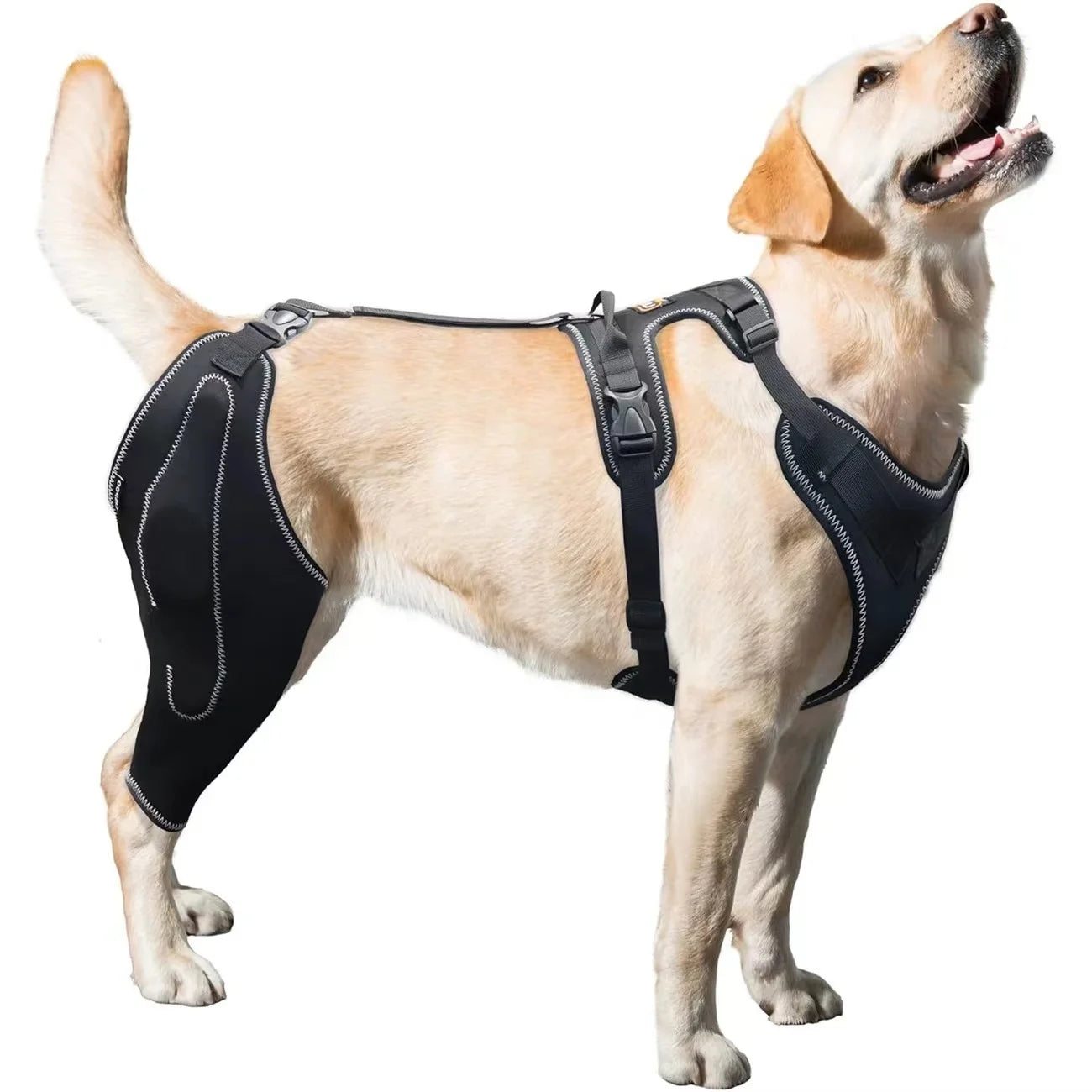 New Product Dog Knee Brace Support for Torn Recovery Sleeve Soft Type for Spring Season Protection
