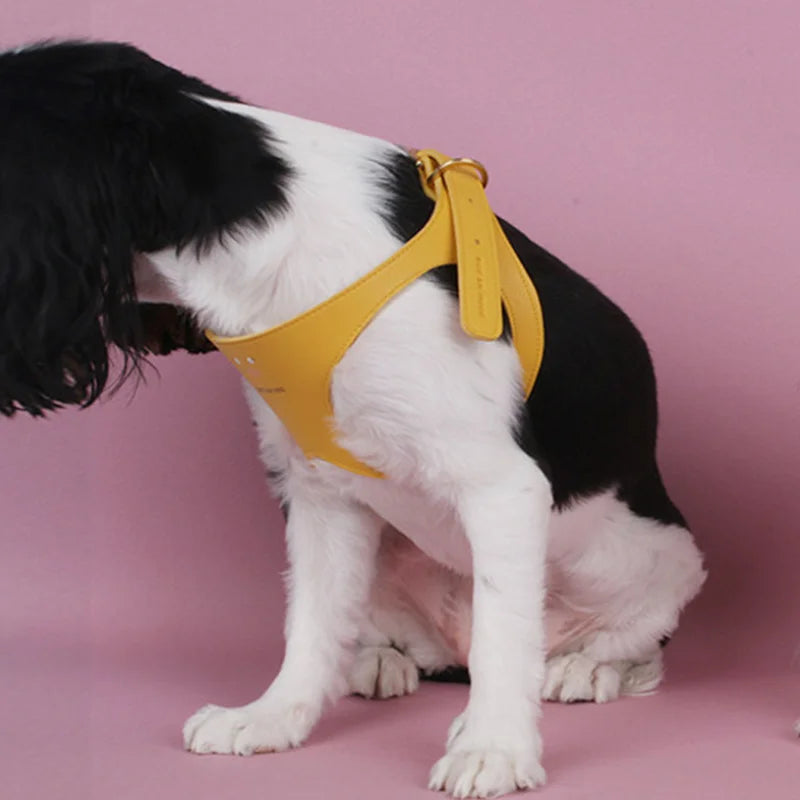 Custom Cute Pet Dog Leash Vest Chest Strap Teddy Pet Supplies Leather Dog Harness Vest