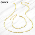 WT-BFN053 Europe and the United States Design Small square Snake Chain Necklace Ins Trendy New Luxury Clavicle Metal Necklace
