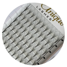 Wholesale 0.07mm C D Premade Fan Short Stem 8-15mm Mix Length Hot Sale 5D 6D 7D 8D Accept Private logo