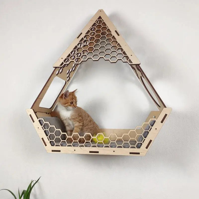Hot Sale Jump Platform Wall Mounted Cat Shelves with Condo Cat Wall Furniture CNLF