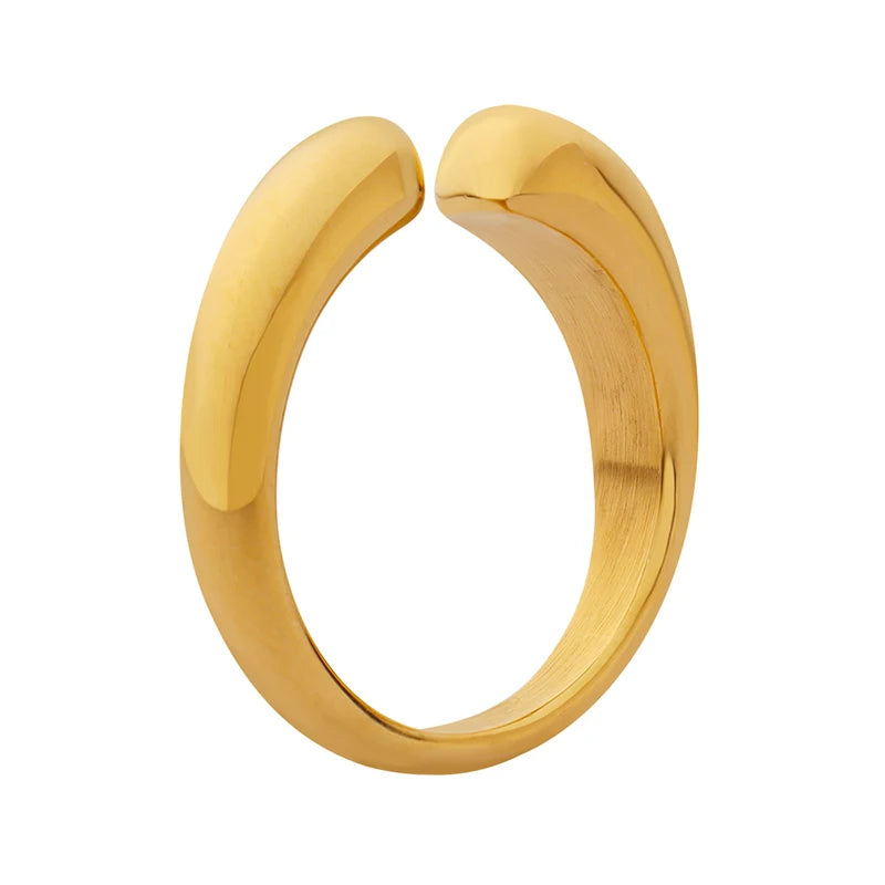 French Simple 316L Stainless Steel Ring Personality Luxury Opening Non Adjustable Ring for Women Wholesale