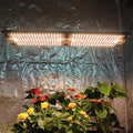 240W LM301H LM281B+ LM301H EVO Full Spectrum with Epistar 660nm UV IR LED Grow Light