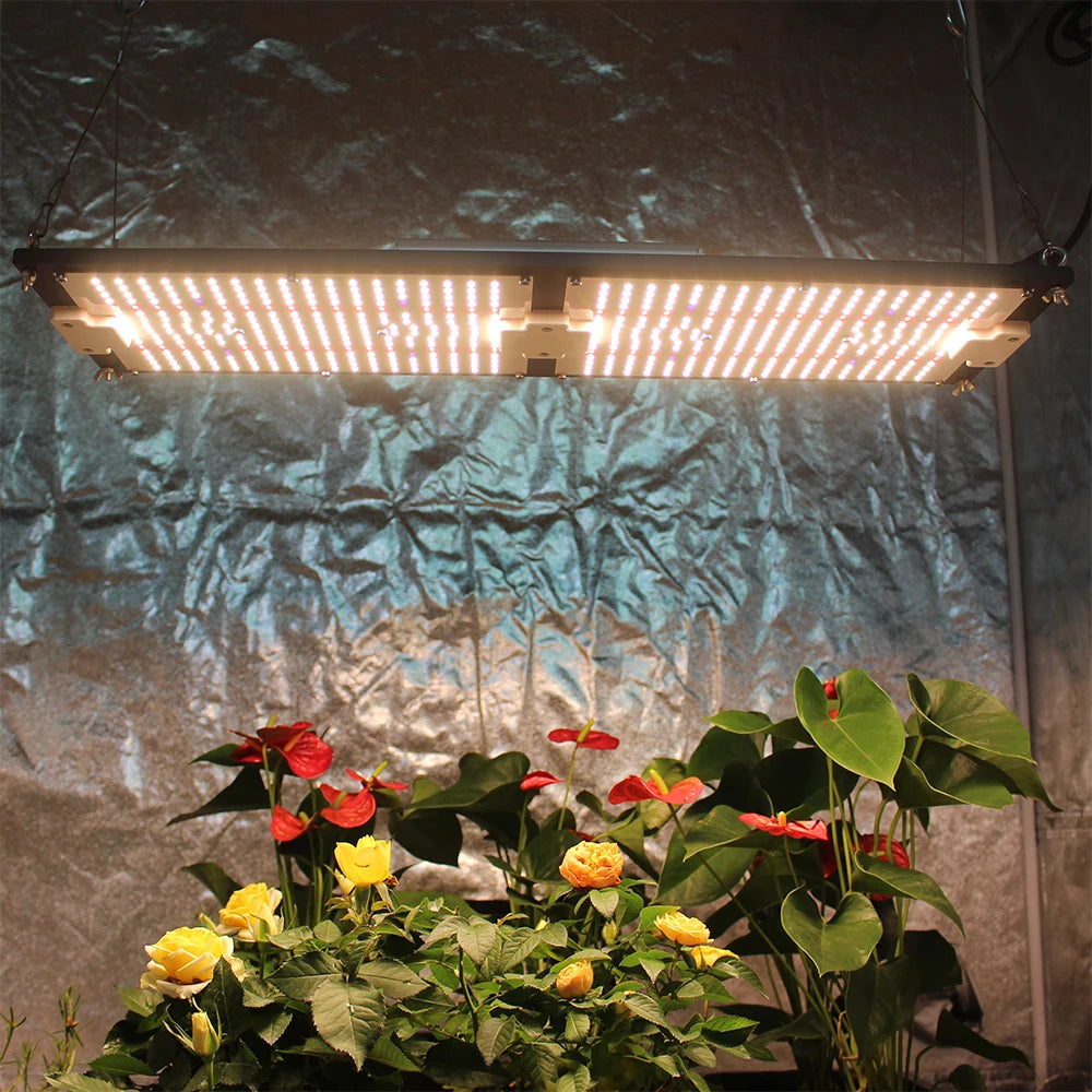 240W LM301H LM281B+ LM301H EVO Full Spectrum with Epistar 660nm UV IR LED Grow Light