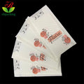 Custom Printed Kraft Bubble Biodegradable Bubble Mailers-Compostable Padded Envelopes Shock Resistance Strong Adhesive Seal for