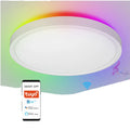 Indoor Home Living Room Round Rgb Tuya Wifi Smart Remote Control 24W Smart Ceiling Light