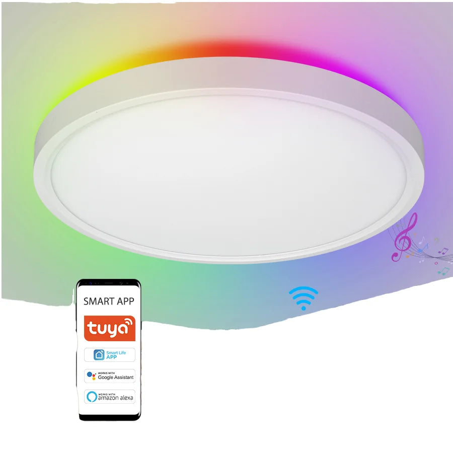 Indoor Home Living Room Round Rgb Tuya Wifi Smart Remote Control 24W Smart Ceiling Light