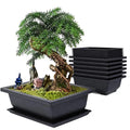 Factory Supply Bonsai Training Pots with Trays and Bulit-in Drainage Mesh-heavy Duty Shatterproof Poly-resin Plastic