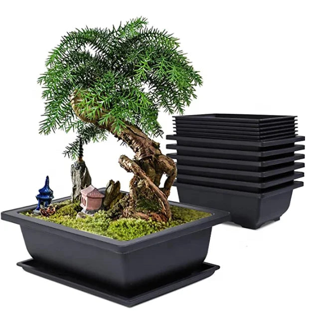 Factory Supply Bonsai Training Pots with Trays and Bulit-in Drainage Mesh-heavy Duty Shatterproof Poly-resin Plastic