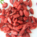 Hot Selling Wolfberry  Wholesale Dried Goji Berries Wolfberry Lycium