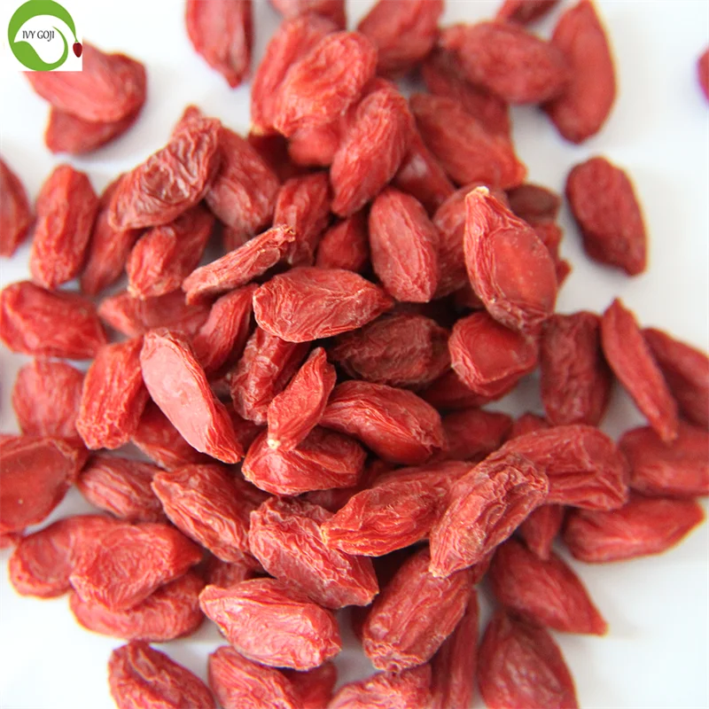 Hot Selling Wolfberry  Wholesale Dried Goji Berries Wolfberry Lycium