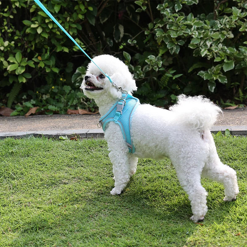 Nylon Pet Lead Dogs Chest Harness Reflective Breathable Comfortable Mesh Pet Harness and Leash Set
