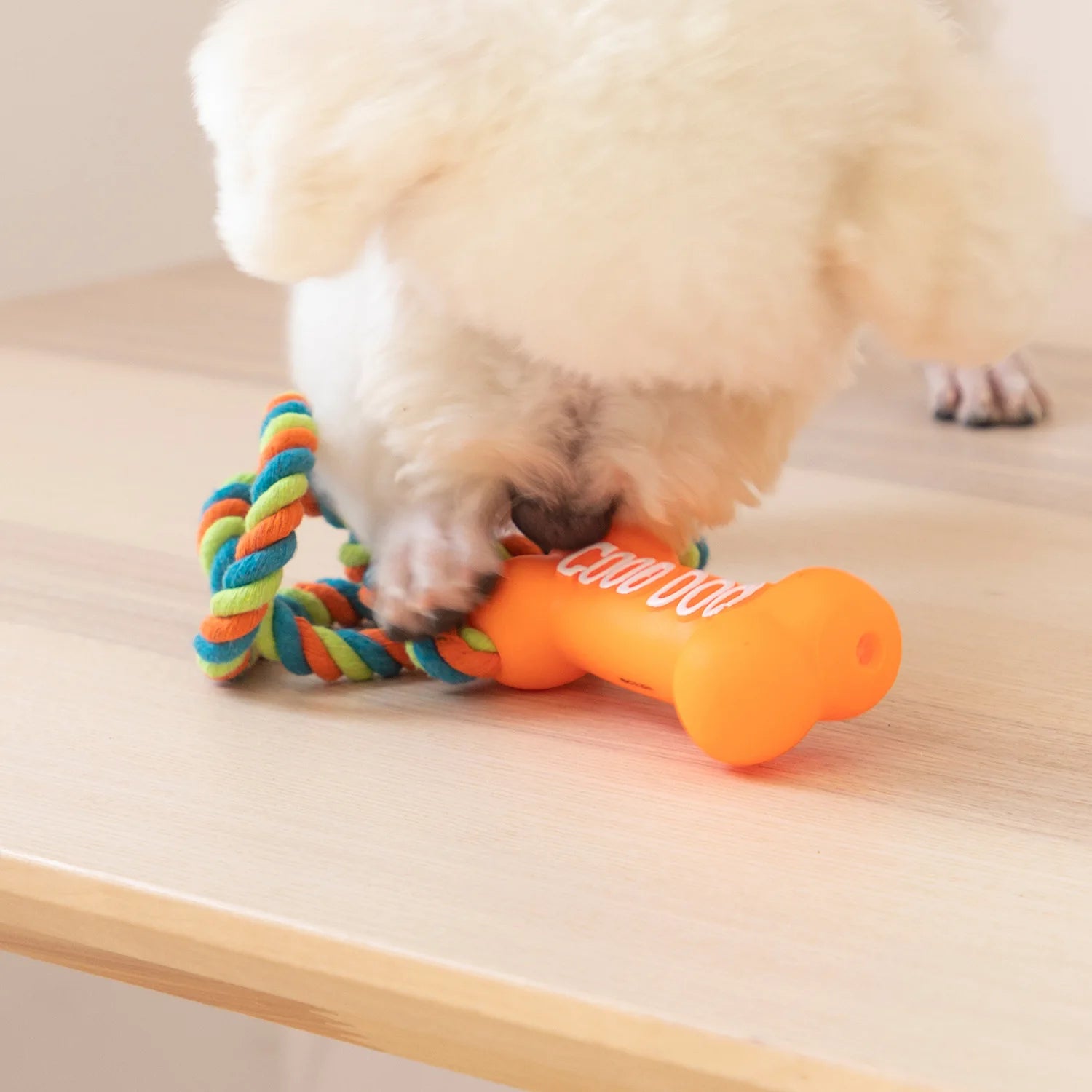 Dog Toys Pet Accessories Cotton Rope Latex Interactive Dog Tough Chews Toys Bone Pet Dog Chew Toy