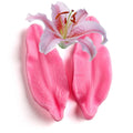 D-0179 DIY Lily petal sugar turning silica gel mold chocolate sugar turning silica gel mold baking tool