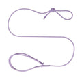 All-in-One Waterproof Nylon Rope Dog Leash Harness Set Polyester Lace Decoration Breakaway Feature Solid Handsfree for Pets