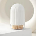 Portable Luxury Plastic Toothpick Dispenser and Cotton Swab Storage Box Hot Products for Home Daily Use
