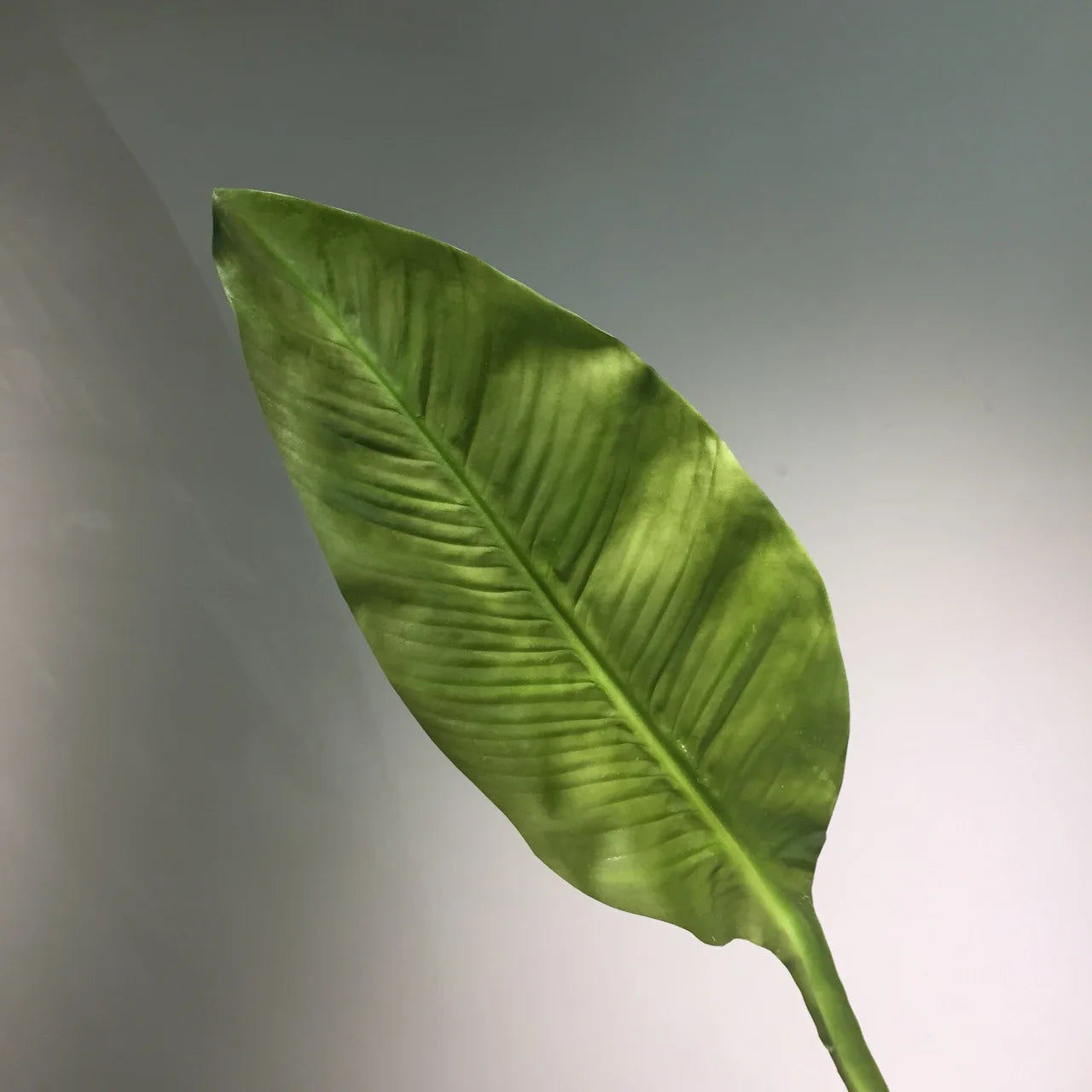 Qq338 Wholesale Good Quality Real Touch Artificial Taro Leaf Single Branch Greenery Plant Wedding Decoration Flower Home Decor