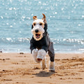 Reflective Strip Luxury Polyester Waterproof Windproof Four Feet Pet Rain Jacket Poncho Dog Raincoat