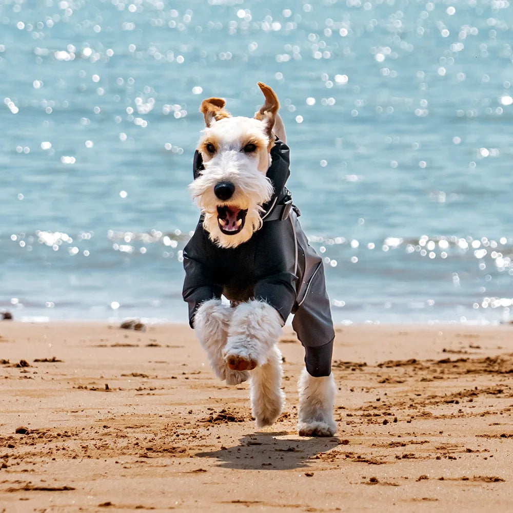 Reflective Strip Luxury Polyester Waterproof Windproof Four Feet Pet Rain Jacket Poncho Dog Raincoat