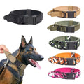 Factory Custom Luxury Heavy Duty Nylon Tactical Dog Training Collar Molle System Classic Solid Pattern Personalized Ribbon All