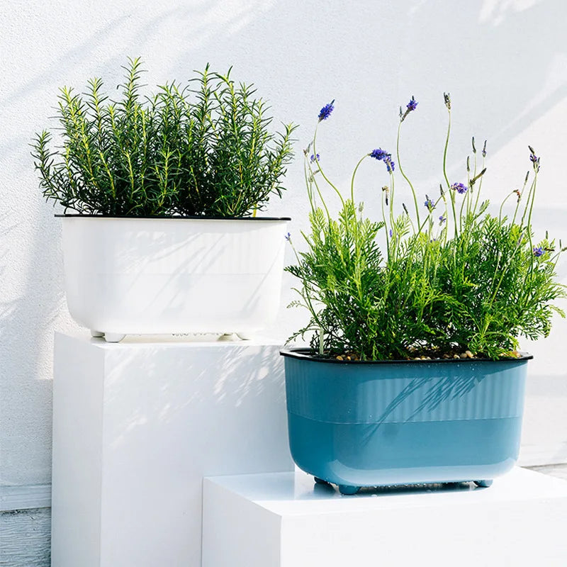 Self Watering Creative Planting Pot Square / Rectangle Shape Flower Pots