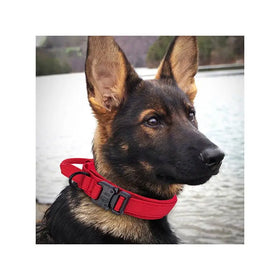 Manufacturer Best Selling Nylon Adjustable Tactical Training With Handle Metal Buckle Pet Collar for Dogs