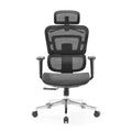 NOEL High Back New Arrival Full Mesh Ergonomic Chair for Office Executive Staff Chairs