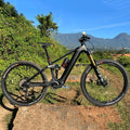 4LEAF China Carbon Fiber Electric Bike E Mountain Bike E Bicycle Montana EMTB M820 E-Bike 29 Inch