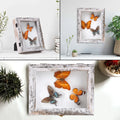 Rustic White Butterfly & Flower Frame Wood Photo Frame with 3 Pins Eco-Friendly Handmade Shadow Box 7.2x9.2 Inch