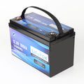 China Factory Low Temperature Heated Marine RV BT LiFePO4 Lithium Battery 12V 100Ah