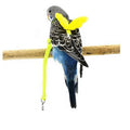 New Arrivals Bird Leash Outdoor Flying Training Light Weight Adjustable Arnes Aves Parrot Pulling Rope Bird Leash Birds Harness